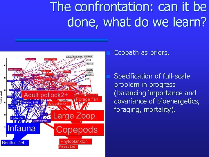 The confrontation: can it be done, what do we learn? n Ecopath as priors.