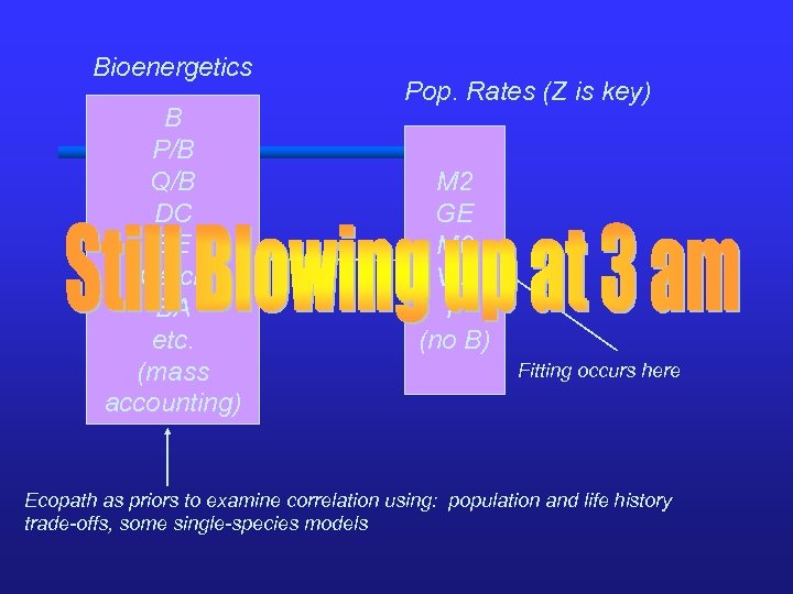 Bioenergetics B P/B Q/B DC EE Catch BA etc. (mass accounting) Pop. Rates (Z