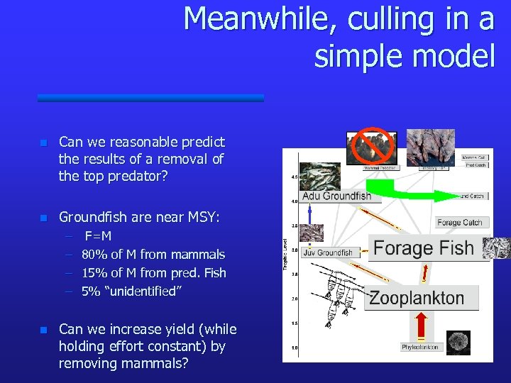 Meanwhile, culling in a simple model n Can we reasonable predict the results of