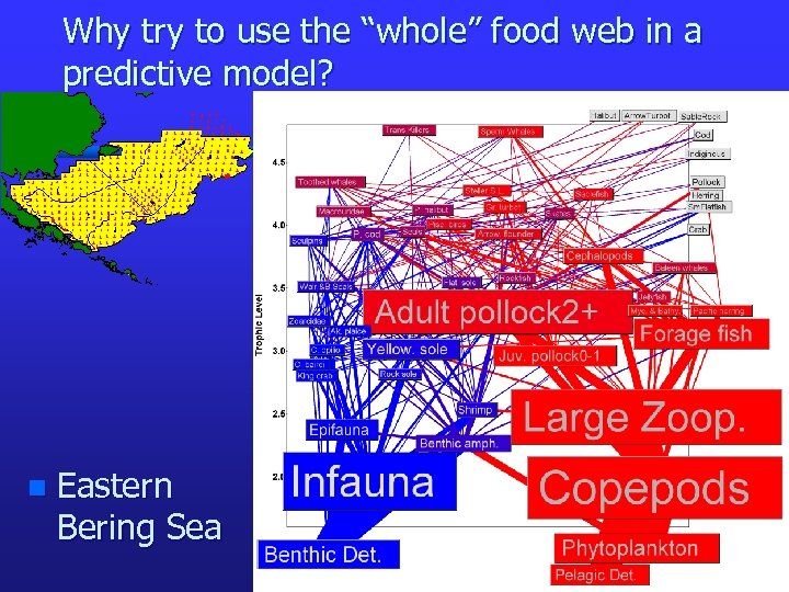 Why try to use the “whole” food web in a predictive model? n Eastern