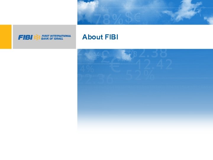 About FIBI 