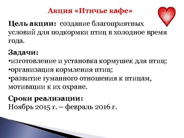 Акция «Птичье кафе» Цель акции: создание благоприятных условий для подкормки птиц в холодное время