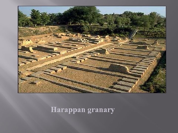 Harappan granary 