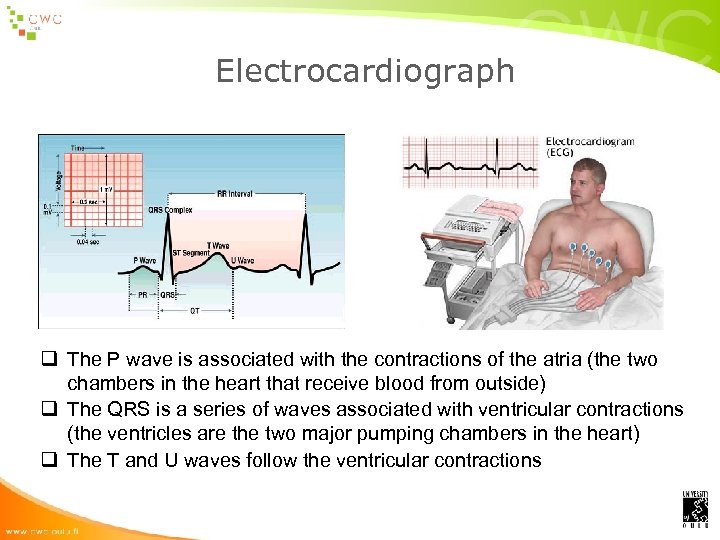 Electrocardiograph q The P wave is associated with the contractions of the atria (the