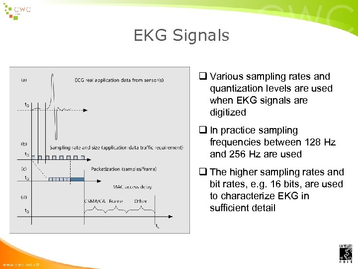 EKG Signals q Various sampling rates and quantization levels are used when EKG signals