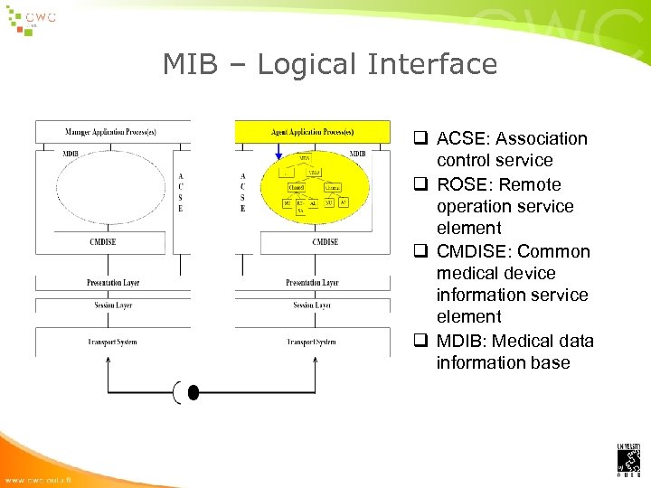 MIB – Logical Interface q ACSE: Association control service q ROSE: Remote operation service