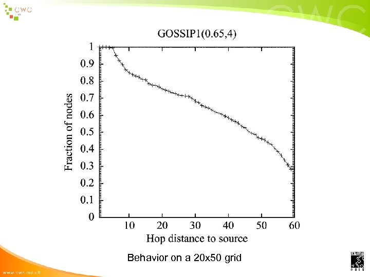Behavior on a 20 x 50 grid 