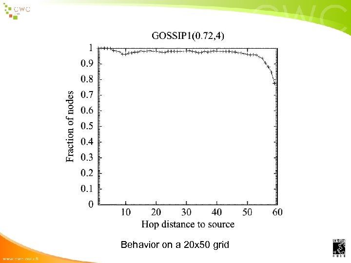 Behavior on a 20 x 50 grid 