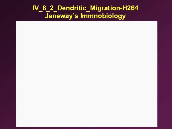 IV_8_2_Dendritic_Migration-H 264 Janeway’s Immnobiology 