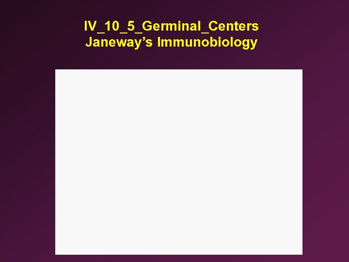 IV_10_5_Germinal_Centers Janeway’s Immunobiology 