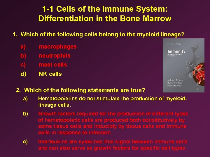 1 -1 Cells of the Immune System: Differentiation in the Bone Marrow 1. Which