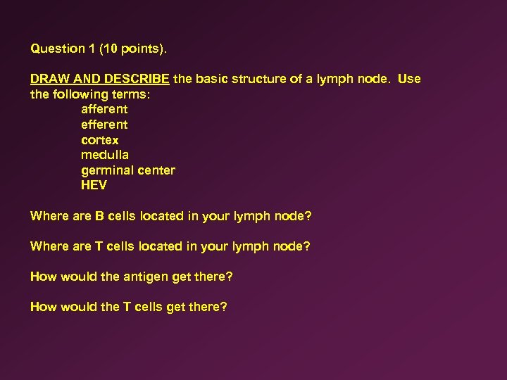 Question 1 (10 points). DRAW AND DESCRIBE the basic structure of a lymph node.