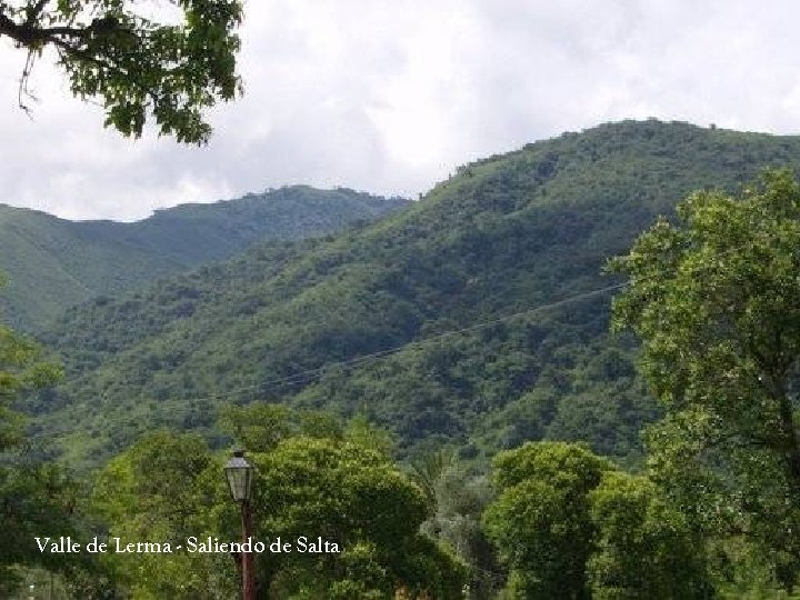 Valle de Lerma - Saliendo de Salta 