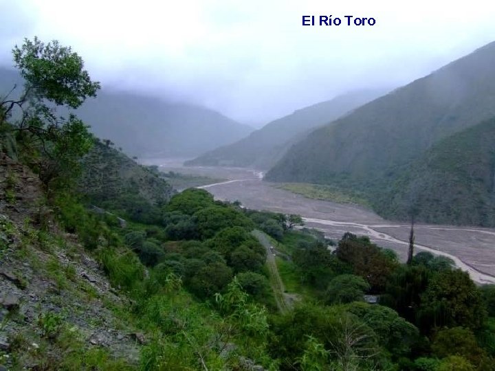 El Río Toro 