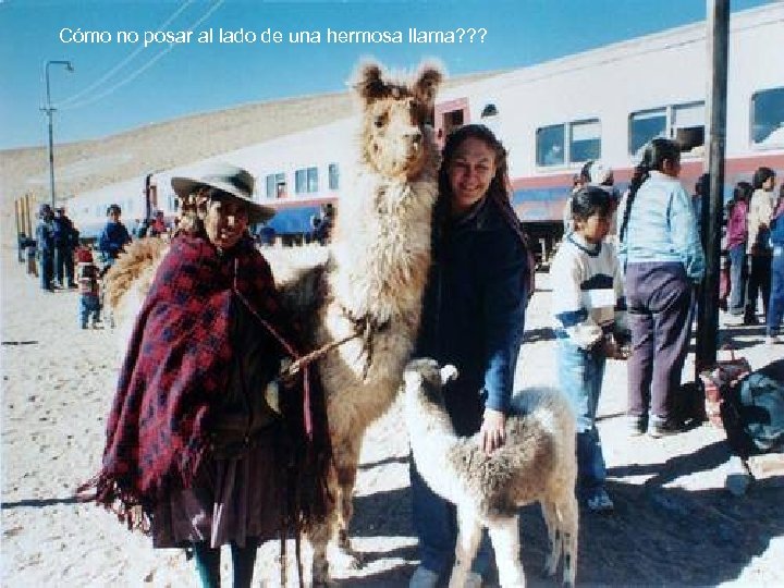 Cómo no posar al lado de una hermosa llama? ? ? 