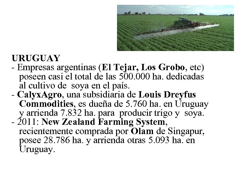 URUGUAY - Empresas argentinas (El Tejar, Los Grobo, etc) poseen casi el total de