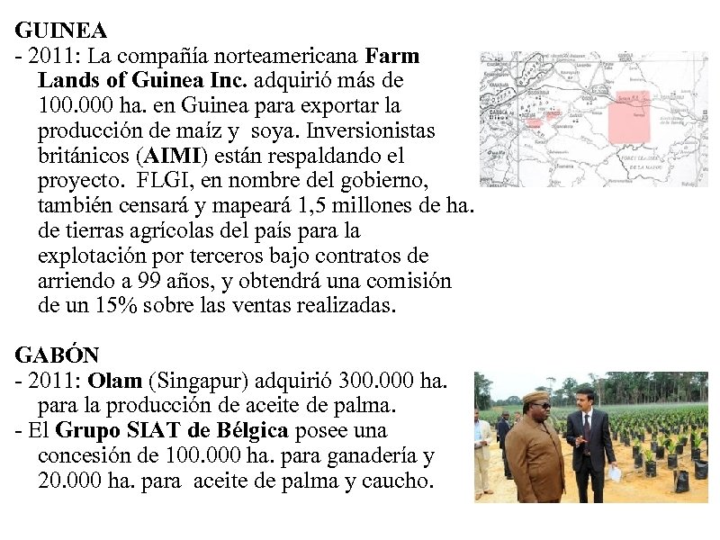 GUINEA - 2011: La compañía norteamericana Farm Lands of Guinea Inc. adquirió más de