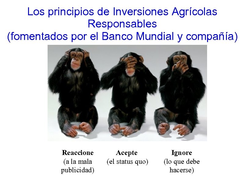 Los principios de Inversiones Agrícolas Responsables (fomentados por el Banco Mundial y compañía) Reaccione