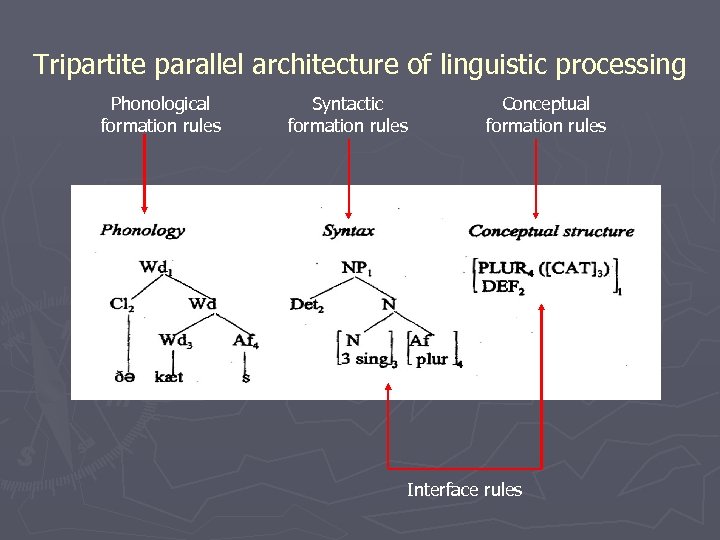 Tripartite parallel architecture of linguistic processing Phonological formation rules Syntactic formation rules Conceptual formation