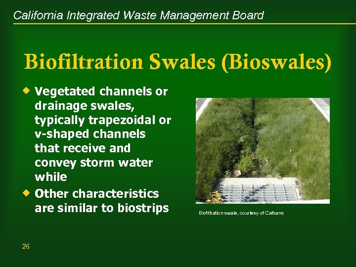 California Integrated Waste Management Board Biofiltration Swales (Bioswales) ® Vegetated channels or drainage swales,