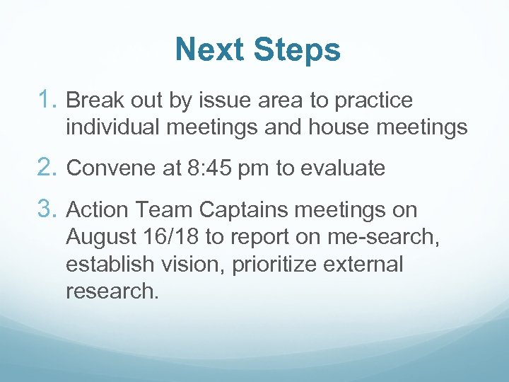 Next Steps 1. Break out by issue area to practice individual meetings and house