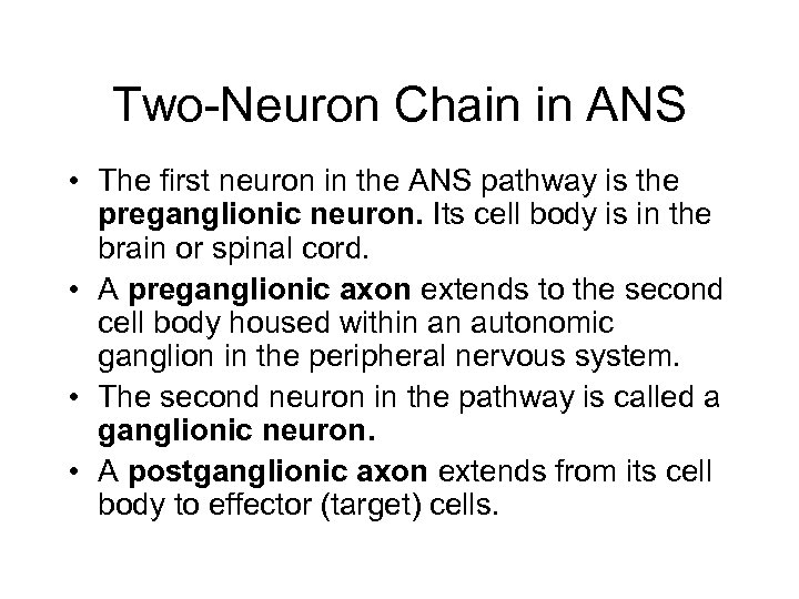 Two-Neuron Chain in ANS • The first neuron in the ANS pathway is the
