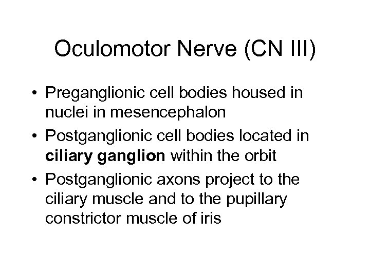 Oculomotor Nerve (CN III) • Preganglionic cell bodies housed in nuclei in mesencephalon •