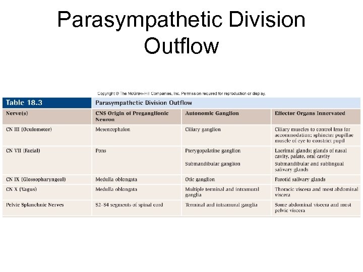 Parasympathetic Division Outflow 
