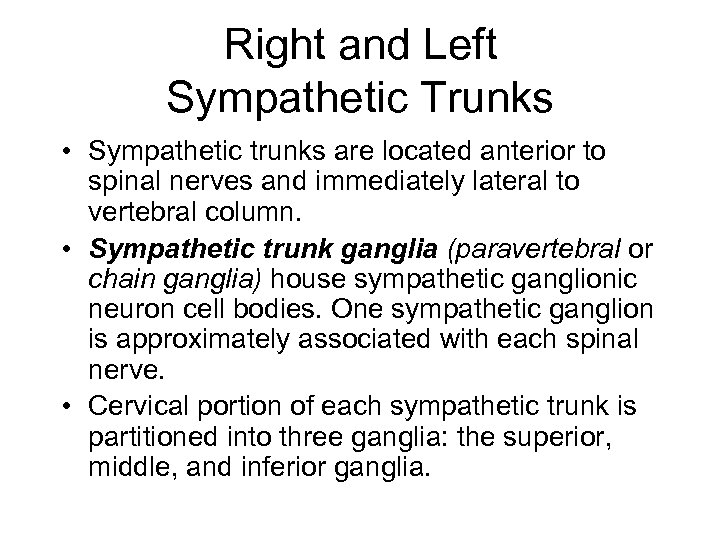 Right and Left Sympathetic Trunks • Sympathetic trunks are located anterior to spinal nerves