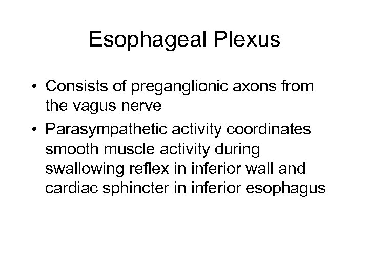 Esophageal Plexus • Consists of preganglionic axons from the vagus nerve • Parasympathetic activity