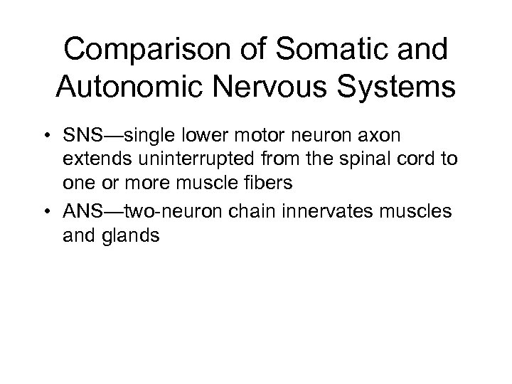 Comparison of Somatic and Autonomic Nervous Systems • SNS—single lower motor neuron axon extends