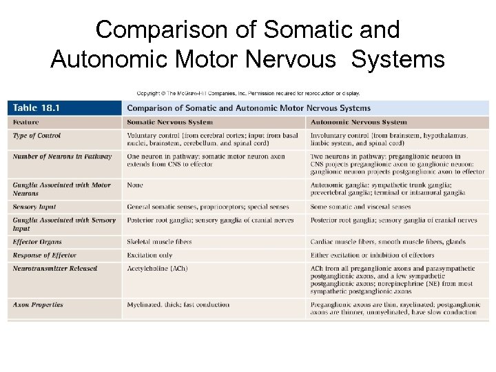 Comparison of Somatic and Autonomic Motor Nervous Systems 