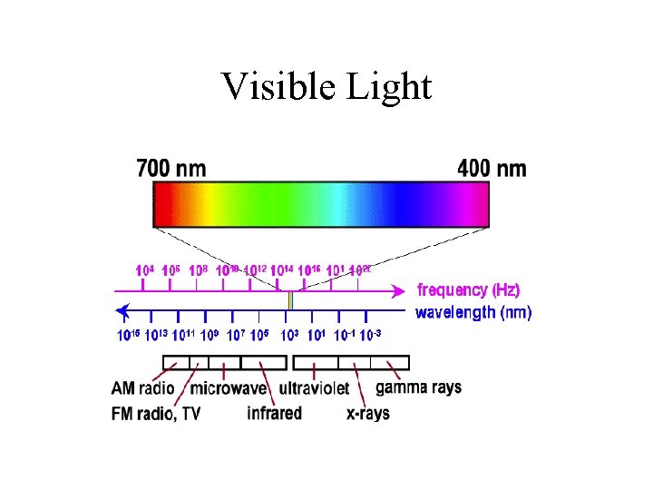 Visible Light 