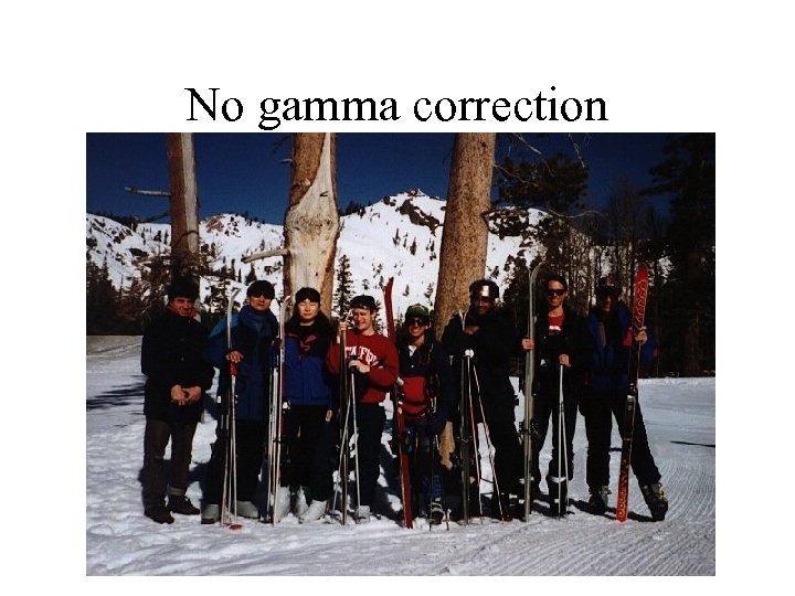 No gamma correction 