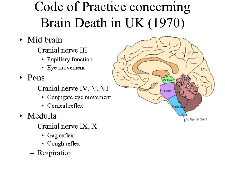 Code of Practice concerning Brain Death in UK (1970) • Mid brain – Cranial