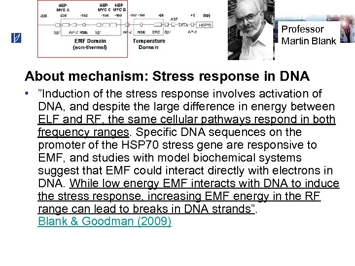 Professor Martin Blank About mechanism: Stress response in DNA • ”Induction of the stress