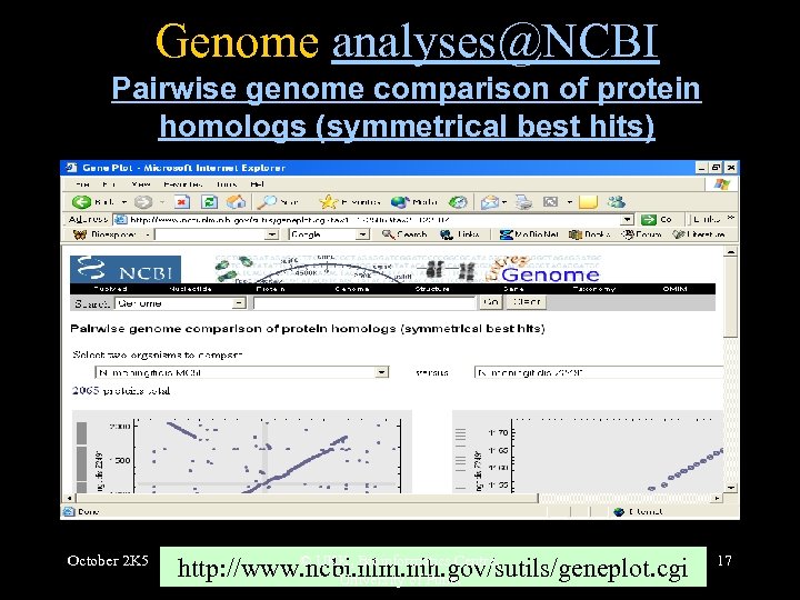 Genome analyses@NCBI Pairwise genome comparison of protein homologs (symmetrical best hits) October 2 K