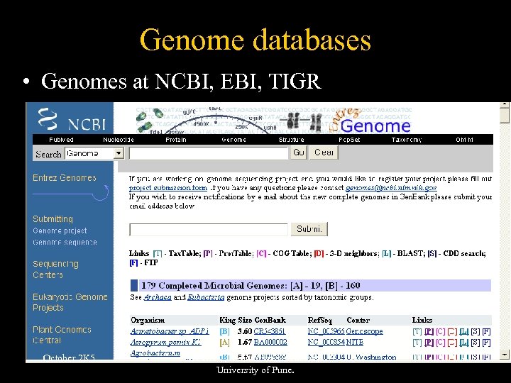 Genome databases • Genomes at NCBI, EBI, TIGR October 2 K 5 © UKK,