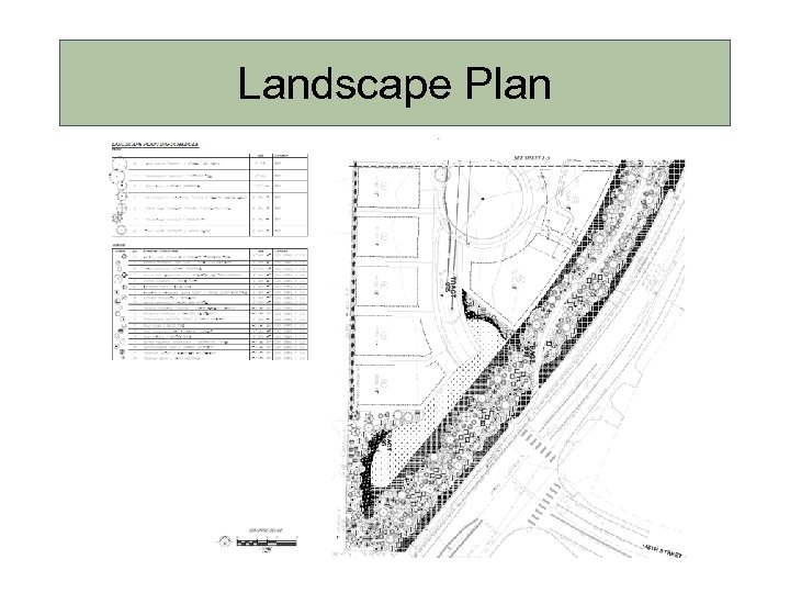 Landscape Plan 