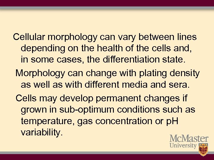 Cellular morphology can vary between lines depending on the health of the cells and,