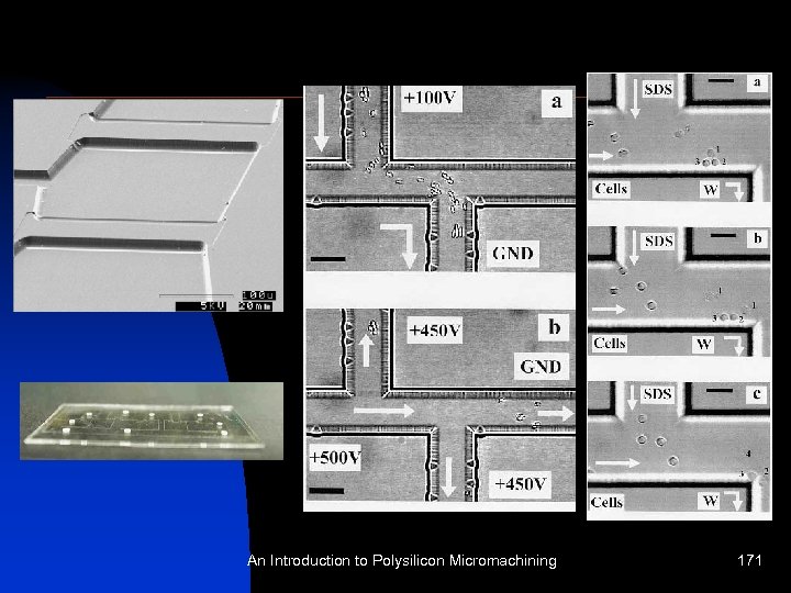 An Introduction to Polysilicon Micromachining 171 