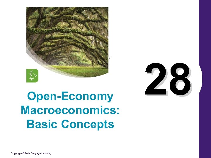 Open-Economy Macroeconomics: Basic Concepts Copyright © 2014 Cengage Learning 28 
