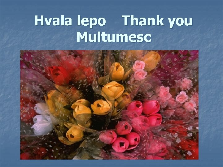 Hvala lepo Thank you Multumesc 
