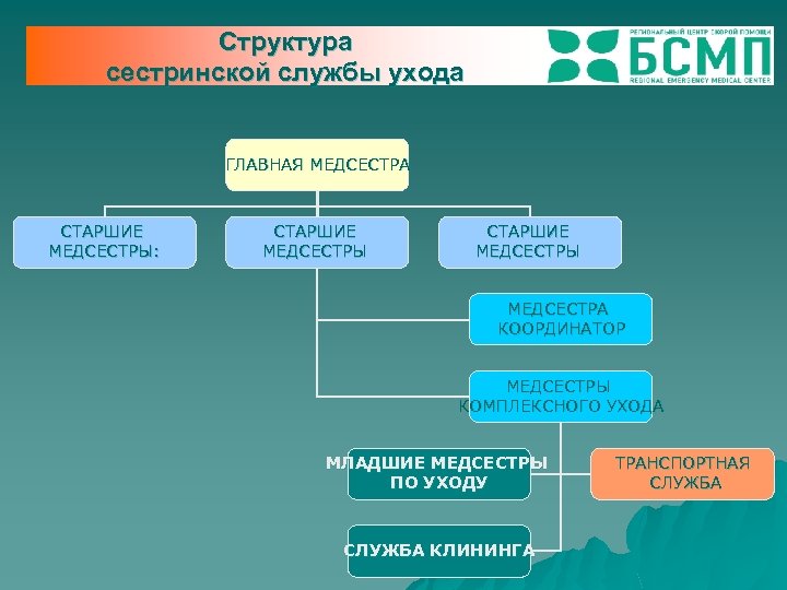 Структура сестринской службы ухода ГЛАВНАЯ МЕДСЕСТРА СТАРШИЕ МЕДСЕСТРЫ: СТАРШИЕ МЕДСЕСТРЫ МЕДСЕСТРА КООРДИНАТОР МЕДСЕСТРЫ КОМПЛЕКСНОГО