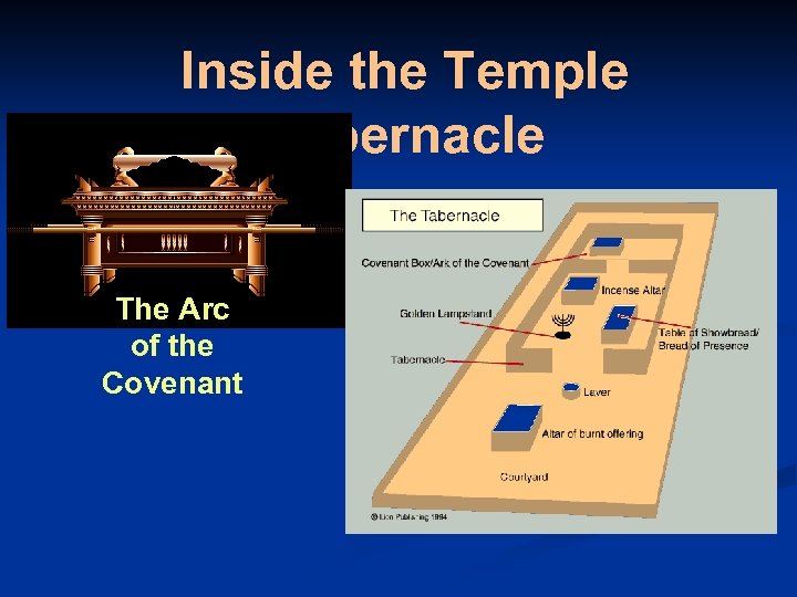 Inside the Temple Tabernacle The Arc of the Covenant 