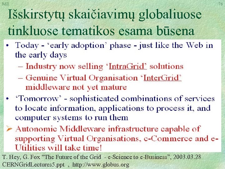 MII Išskirstytų skaičiavimų globaliuose tinkluose tematikos esama būsena T. Hey, G. Fox “The Future