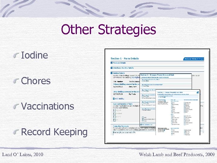 Other Strategies Iodine Chores Vaccinations Record Keeping Land O’ Lakes, 2010 Welsh Lamb and
