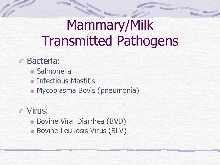 Mammary/Milk Transmitted Pathogens Bacteria: Salmonella Infectious Mastitis Mycoplasma Bovis (pneumonia) Virus: Bovine Viral Diarrhea