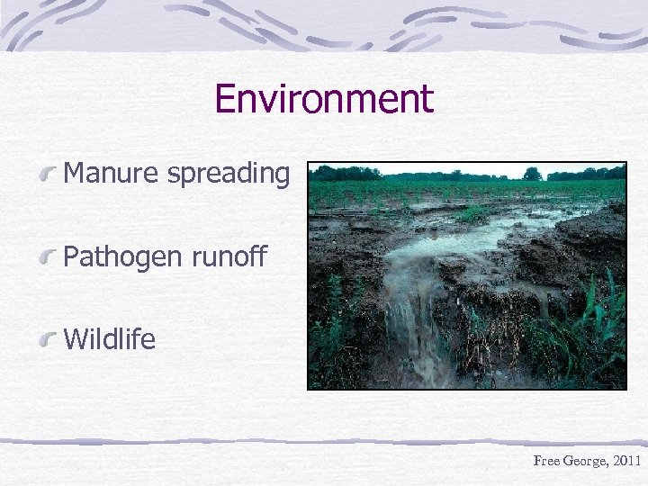 Environment Manure spreading Pathogen runoff Wildlife Free George, 2011 