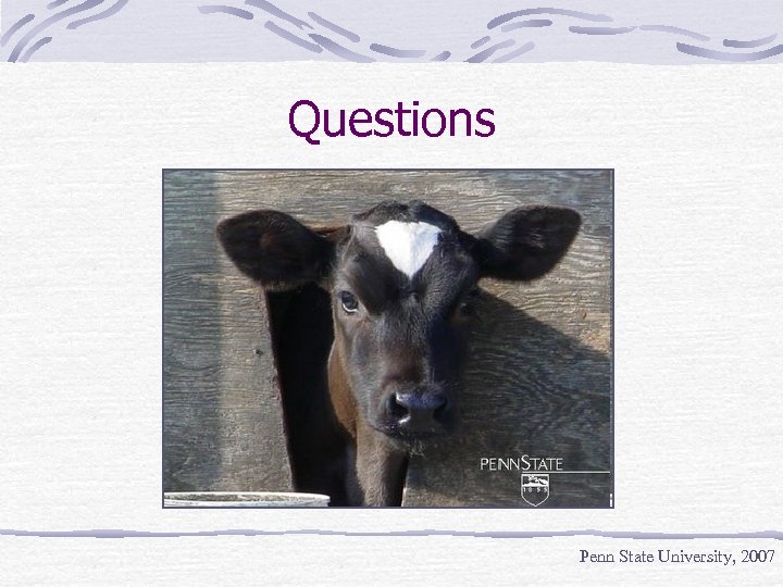 Questions Penn State University, 2007 